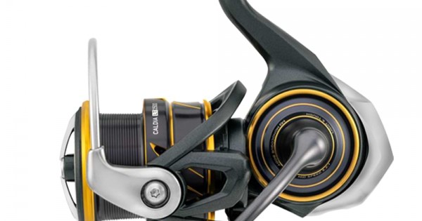 Daiwa Spinning Reel Daiwa 21 CALDIA FC LT2000S-H Spinning Reel – 6
